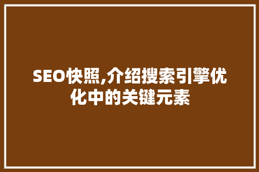 SEO快照,介绍搜索引擎优化中的关键元素