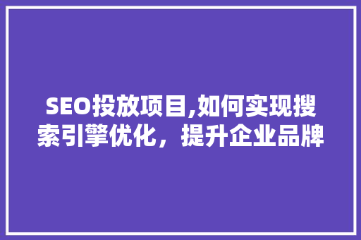 SEO投放项目,如何实现搜索引擎优化，提升企业品牌影响力