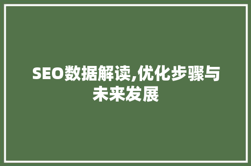 SEO数据解读,优化步骤与未来发展