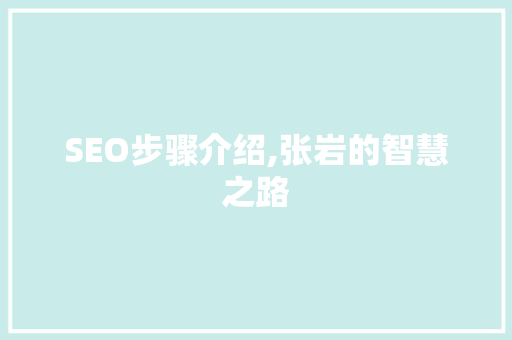 SEO步骤介绍,张岩的智慧之路