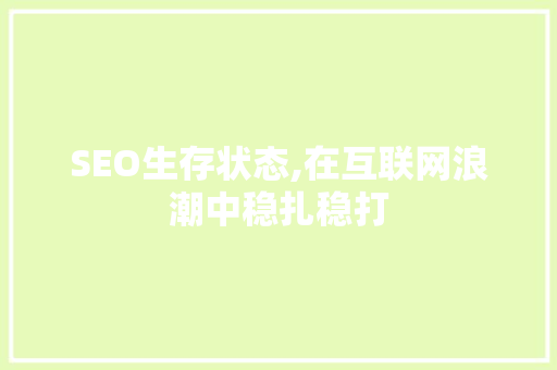 SEO生存状态,在互联网浪潮中稳扎稳打