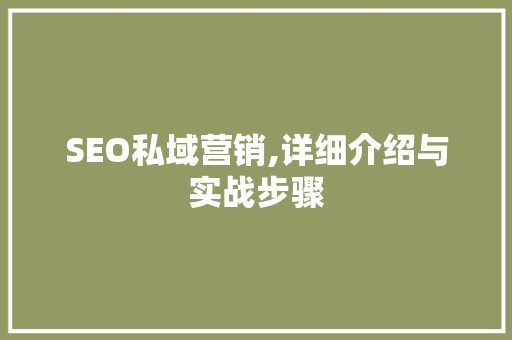 SEO私域营销,详细介绍与实战步骤