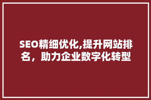 SEO精细优化,提升网站排名，助力企业数字化转型
