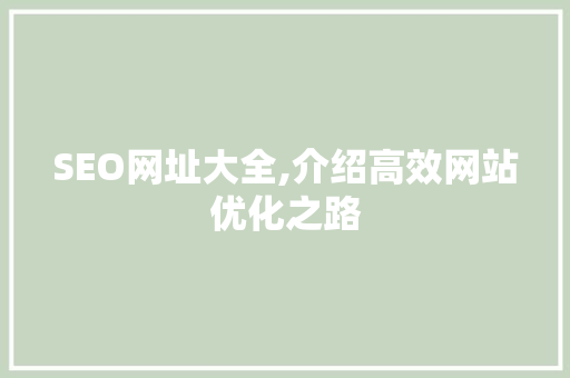 SEO网址大全,介绍高效网站优化之路