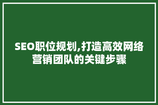 SEO职位规划,打造高效网络营销团队的关键步骤