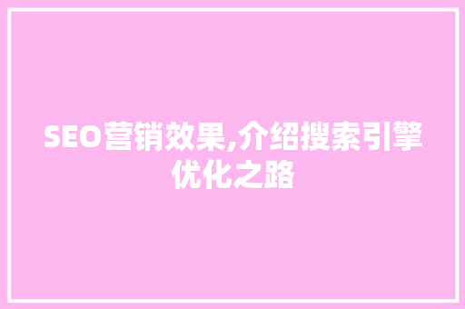 SEO营销效果,介绍搜索引擎优化之路