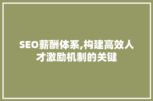 SEO薪酬体系,构建高效人才激励机制的关键