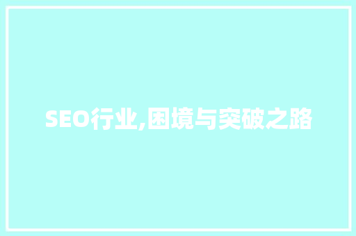 SEO行业,困境与突破之路
