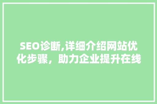 SEO诊断,详细介绍网站优化步骤，助力企业提升在线竞争力