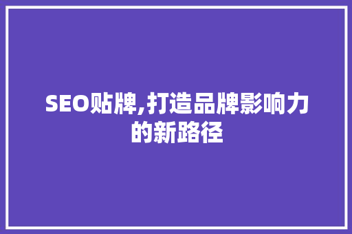 SEO贴牌,打造品牌影响力的新路径  第1张