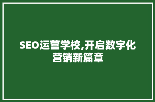 SEO运营学校,开启数字化营销新篇章