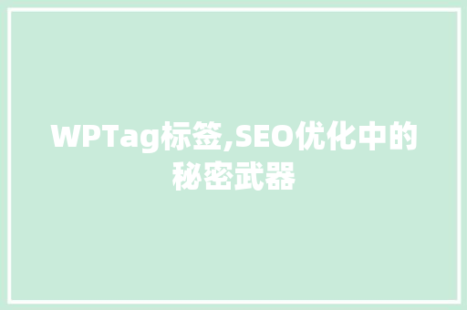 WPTag标签,SEO优化中的秘密武器