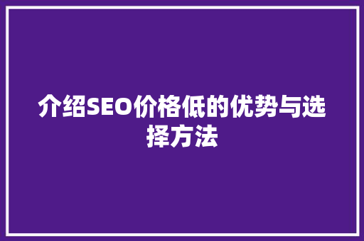 介绍SEO价格低的优势与选择方法