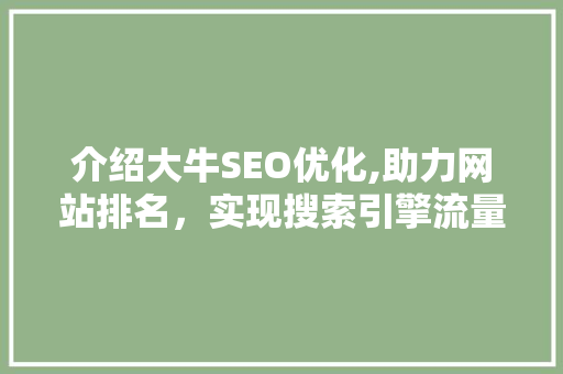 介绍大牛SEO优化,助力网站排名，实现搜索引擎流量红利
