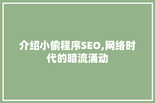 介绍小偷程序SEO,网络时代的暗流涌动
