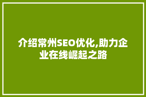 介绍常州SEO优化,助力企业在线崛起之路
