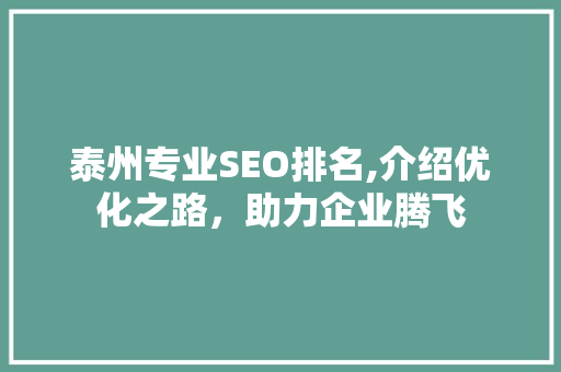 泰州专业SEO排名,介绍优化之路，助力企业腾飞