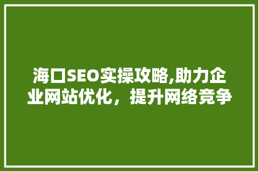 海口SEO实操攻略,助力企业网站优化，提升网络竞争力