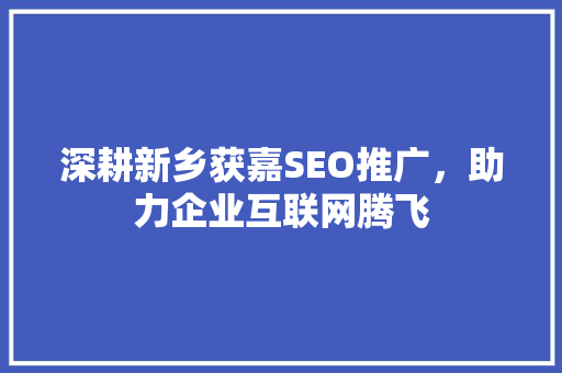深耕新乡获嘉SEO推广，助力企业互联网腾飞