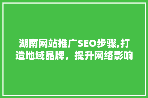 湖南网站推广SEO步骤,打造地域品牌，提升网络影响力