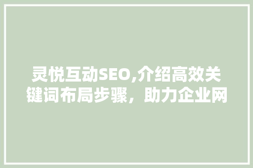 灵悦互动SEO,介绍高效关键词布局步骤，助力企业网站优化