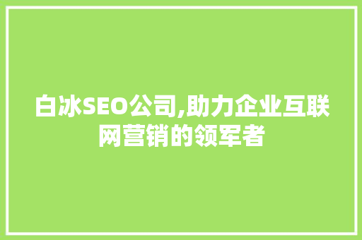 白冰SEO公司,助力企业互联网营销的领军者