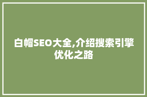 白帽SEO大全,介绍搜索引擎优化之路