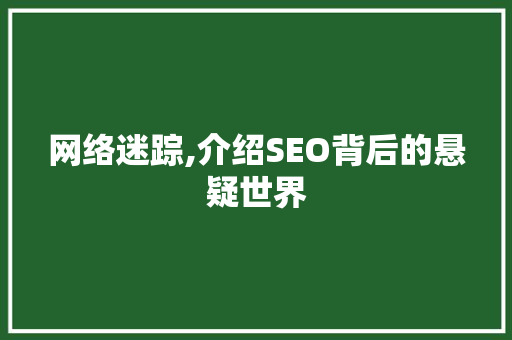 网络迷踪,介绍SEO背后的悬疑世界