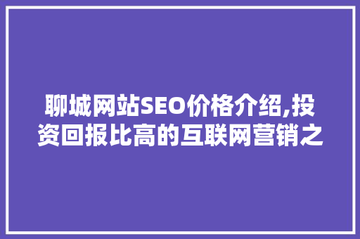 聊城网站SEO价格介绍,投资回报比高的互联网营销之路