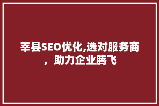 莘县SEO优化,选对服务商，助力企业腾飞