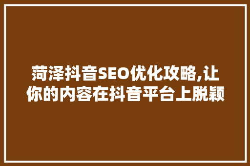 菏泽抖音SEO优化攻略,让你的内容在抖音平台上脱颖而出