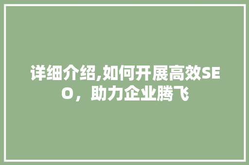 详细介绍,如何开展高效SEO，助力企业腾飞