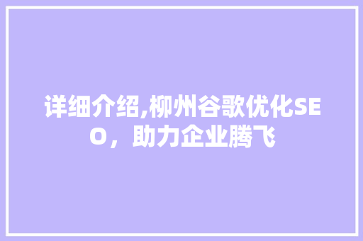 详细介绍,柳州谷歌优化SEO，助力企业腾飞