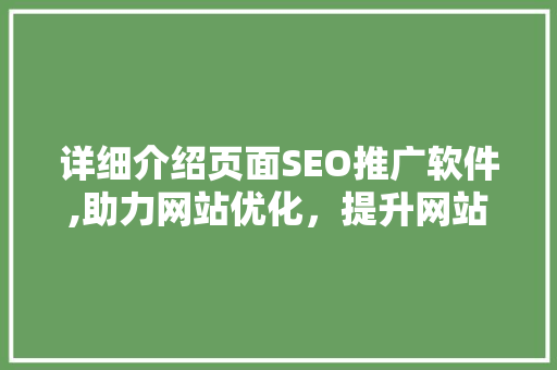 详细介绍页面SEO推广软件,助力网站优化，提升网站排名