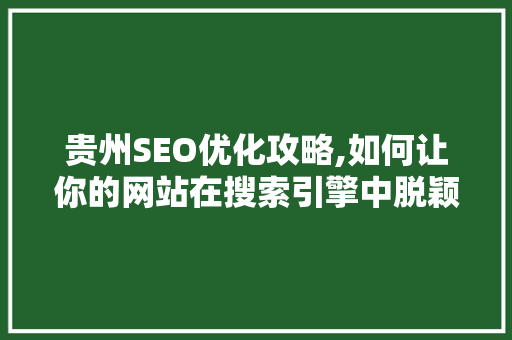 贵州SEO优化攻略,如何让你的网站在搜索引擎中脱颖而出
