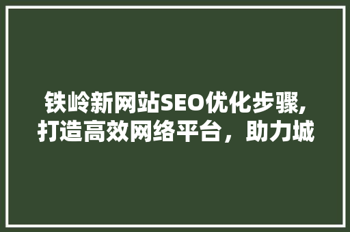铁岭新网站SEO优化步骤,打造高效网络平台，助力城市品牌升级