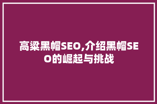 高粱黑帽SEO,介绍黑帽SEO的崛起与挑战