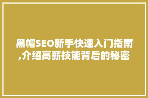黑帽SEO新手快速入门指南,介绍高薪技能背后的秘密