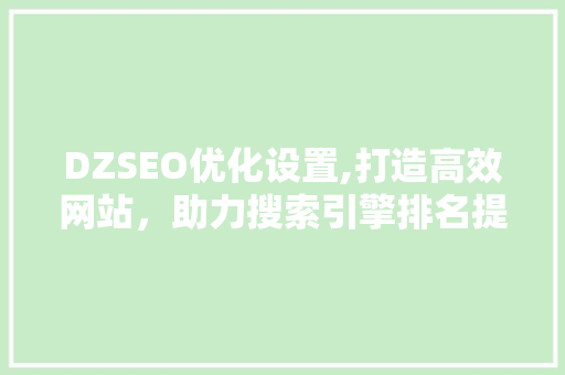 DZSEO优化设置,打造高效网站，助力搜索引擎排名提升
