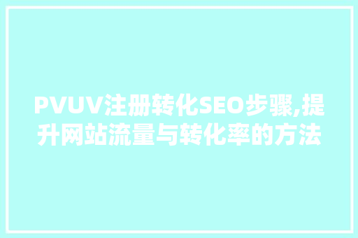 PVUV注册转化SEO步骤,提升网站流量与转化率的方法