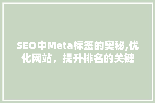 SEO中Meta标签的奥秘,优化网站，提升排名的关键