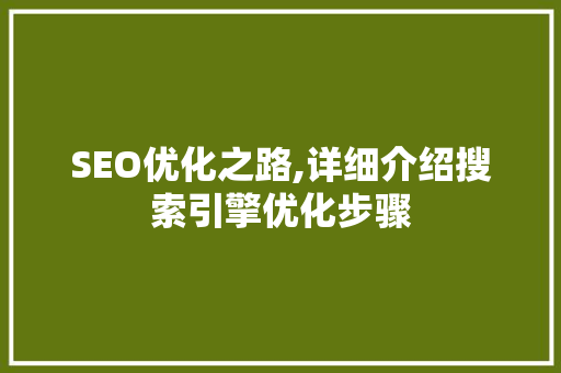 SEO优化之路,详细介绍搜索引擎优化步骤