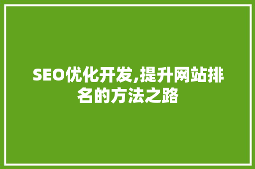 SEO优化开发,提升网站排名的方法之路
