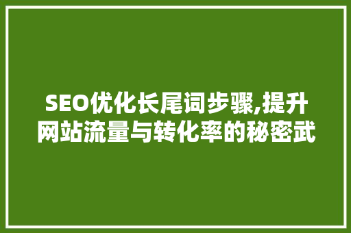 SEO优化长尾词步骤,提升网站流量与转化率的秘密武器