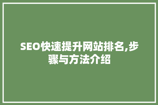 SEO快速提升网站排名,步骤与方法介绍