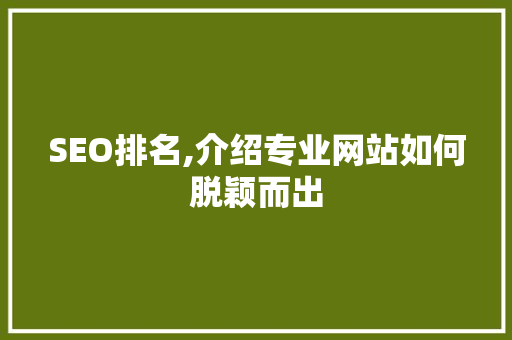 SEO排名,介绍专业网站如何脱颖而出