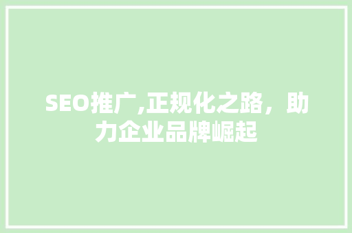 SEO推广,正规化之路，助力企业品牌崛起