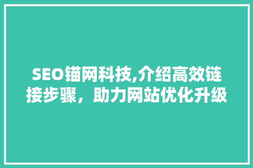 SEO锚网科技,介绍高效链接步骤，助力网站优化升级