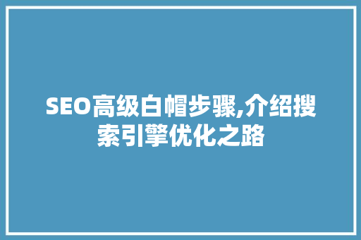 SEO高级白帽步骤,介绍搜索引擎优化之路
