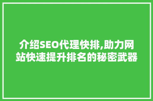 介绍SEO代理快排,助力网站快速提升排名的秘密武器